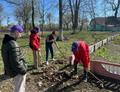 Активисты Наровлянского РК ОО «БРСМ» и участники молодежного клуба «Перекресток» провели уборку на территории братской могилы в городском парке.