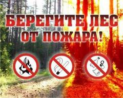 Гражданин соблюдай правила пожарной безопасности в лесах!
